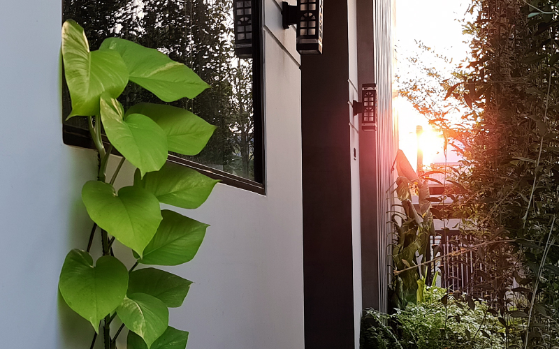 Veayo Studio-Design Villa & Homestay